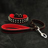 "Frenchie" Set- collar & leash. Red