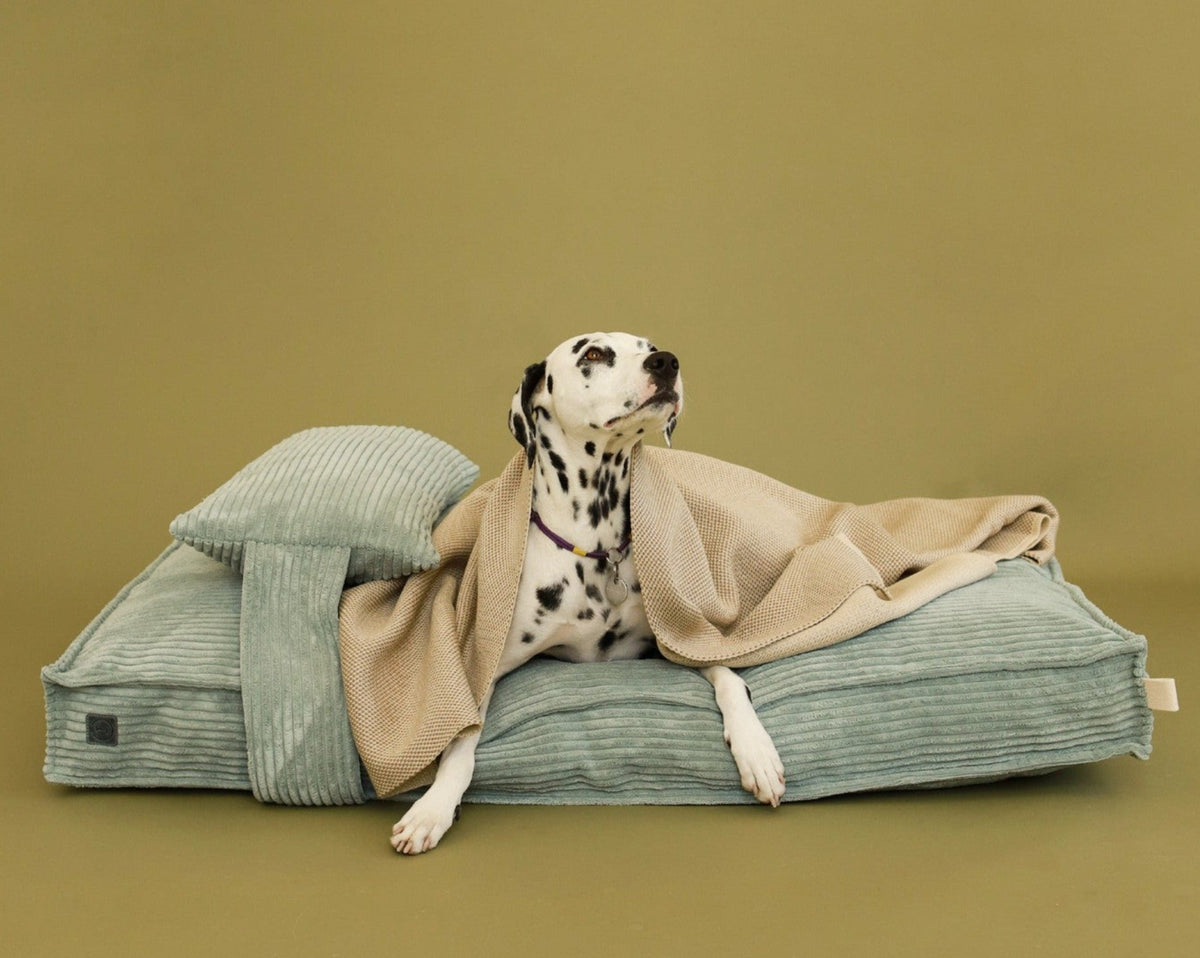 Memory Foam Dog Bed