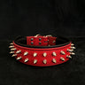 Red "Frenchie" collar