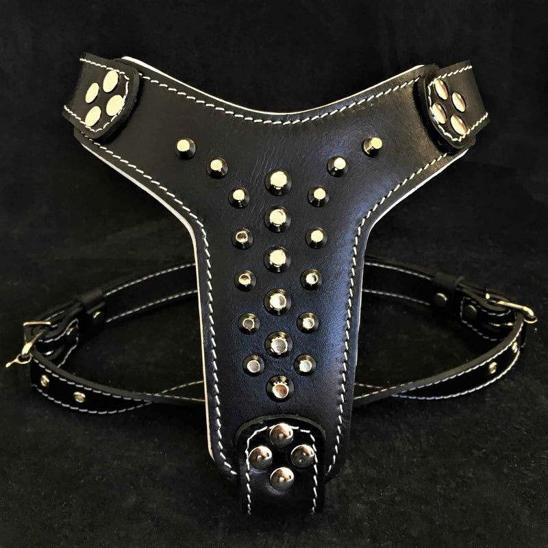 Bestia Rocky Studded Leather Small to Medium Dog Harness