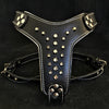 Bestia Dog Gear Genuine Leather Dog Harness - Red