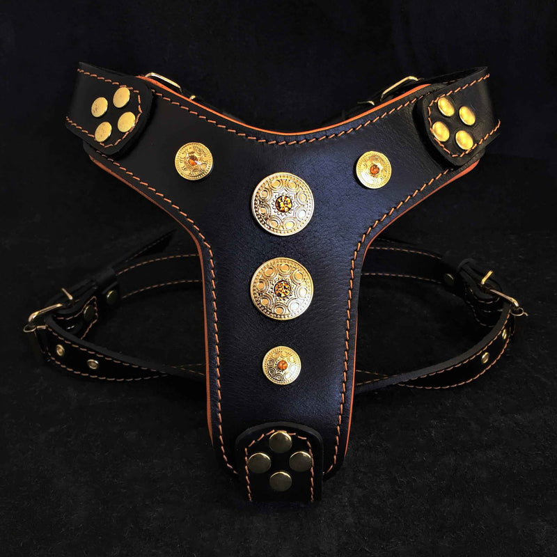 Bestia Bijou Black & Orange Leather Small to Medium Dog Harness