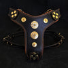 Bestia Dog Gear Genuine Leather Dog Harness - Black