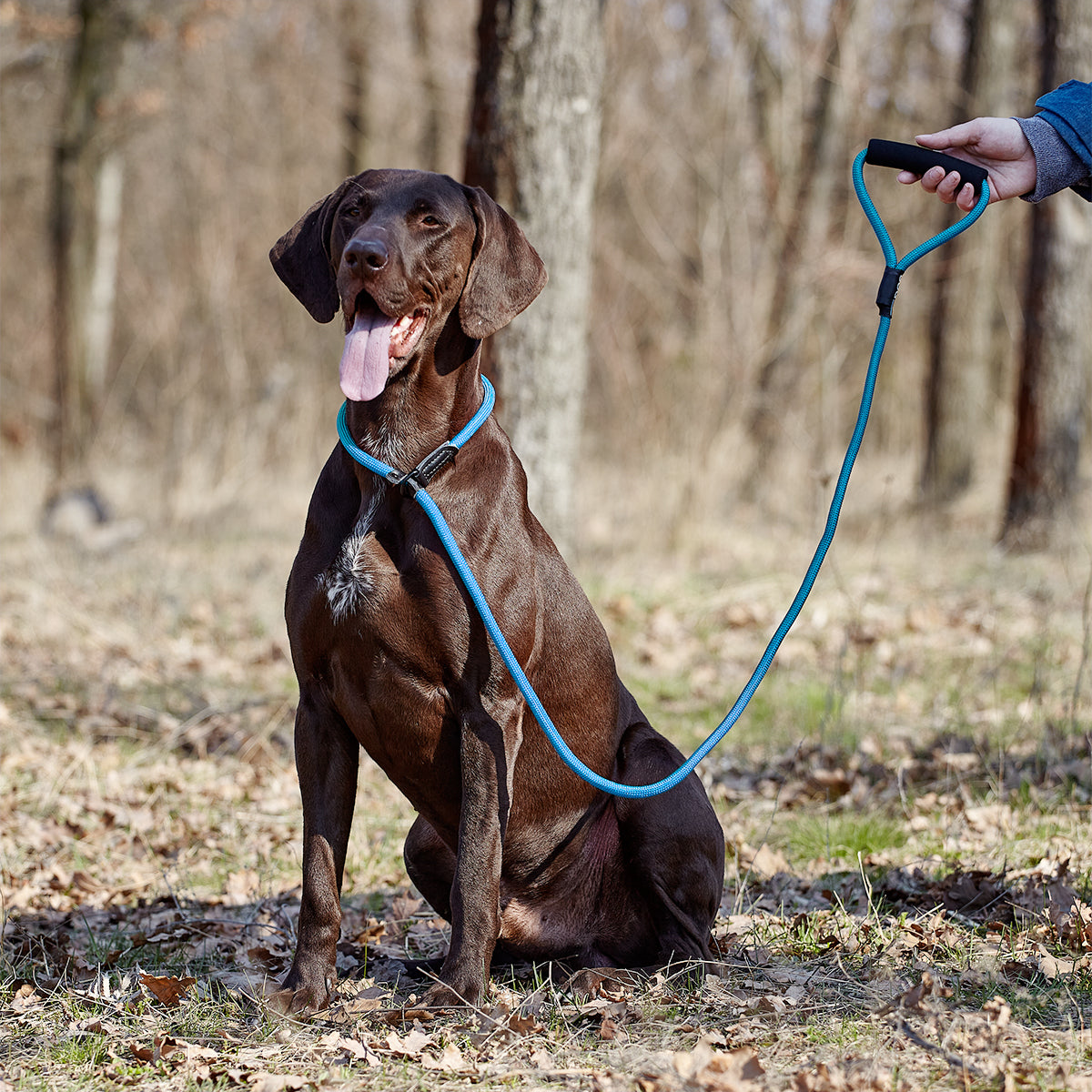 Dogline Round Nylon Slip Dog Lead