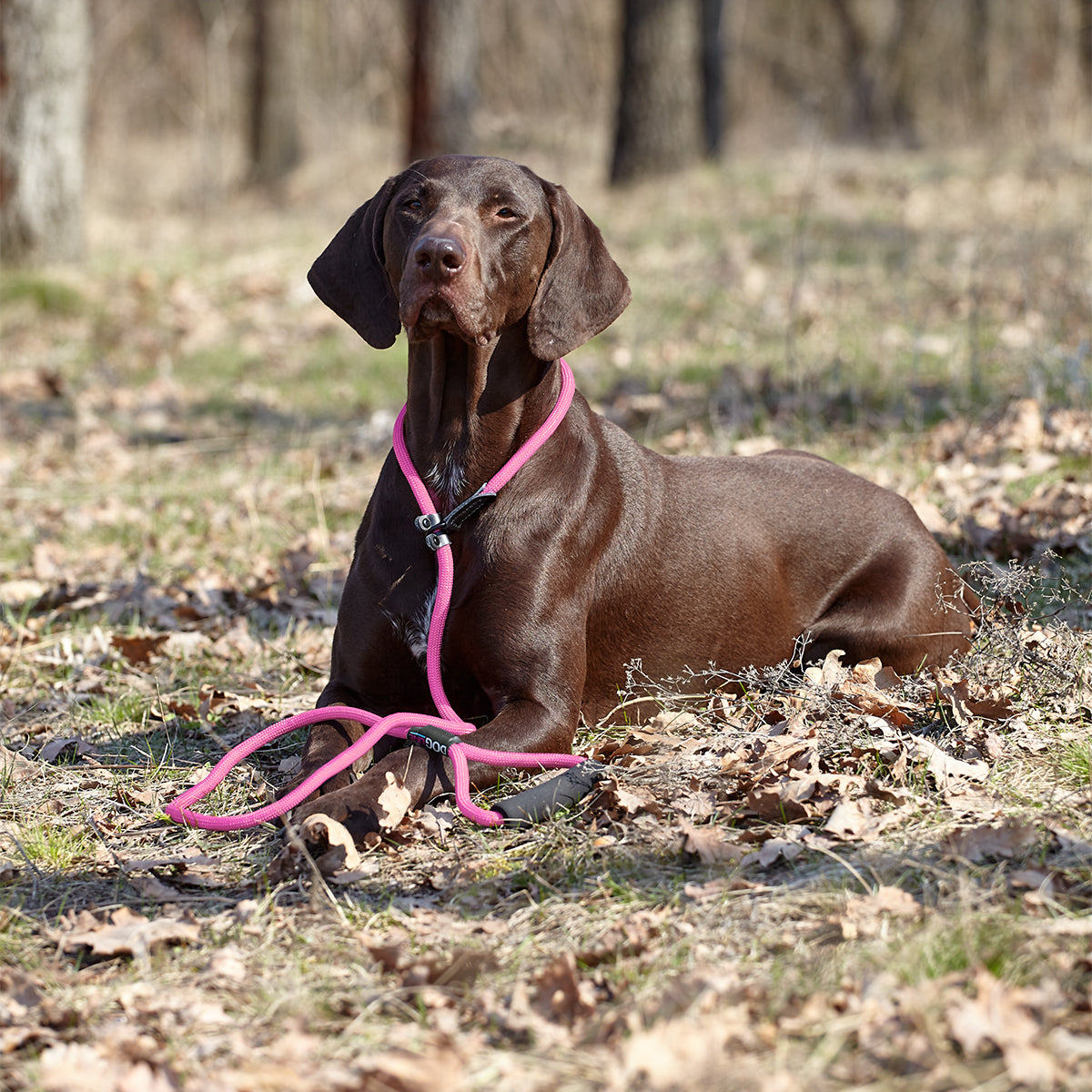 Dogline Round Nylon Slip Dog Lead