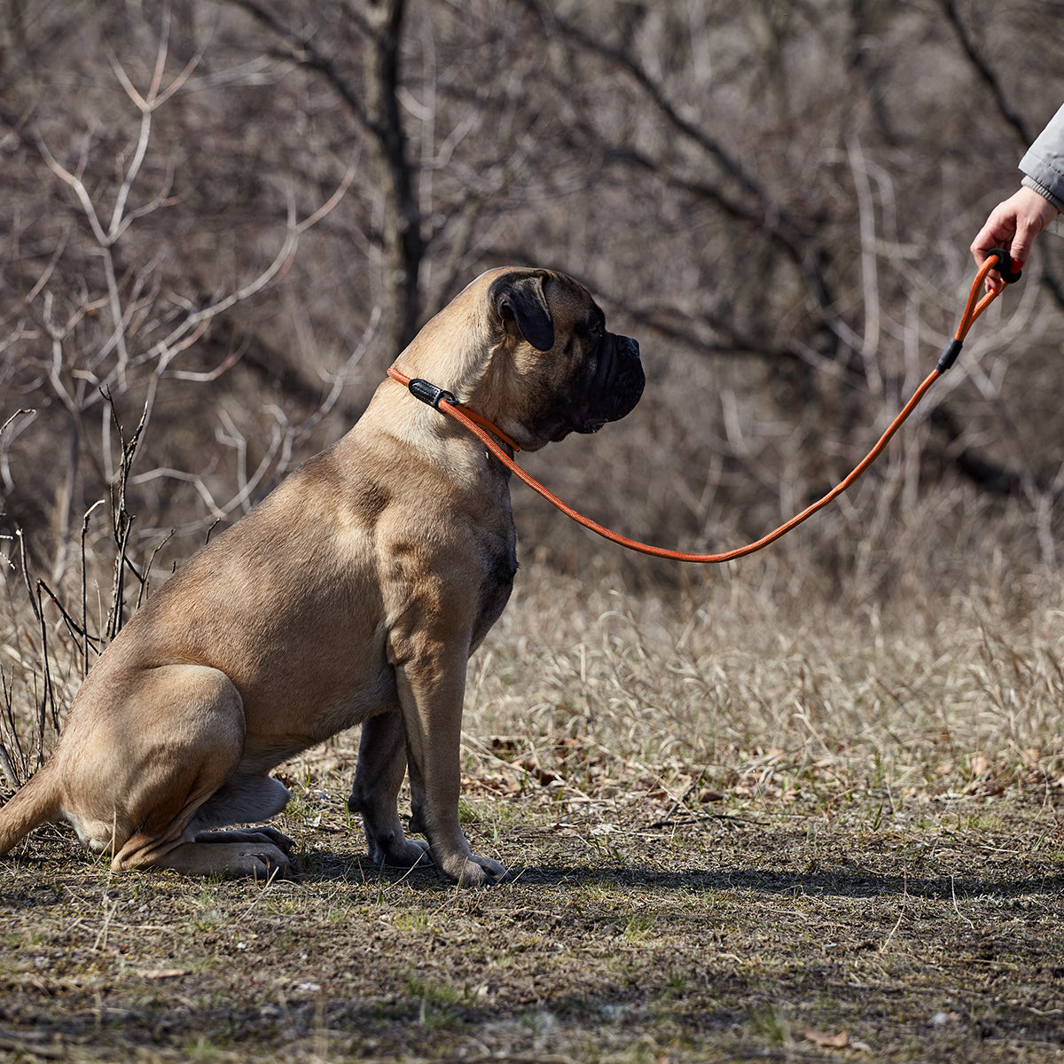 Dogline Round Nylon Slip Dog Lead