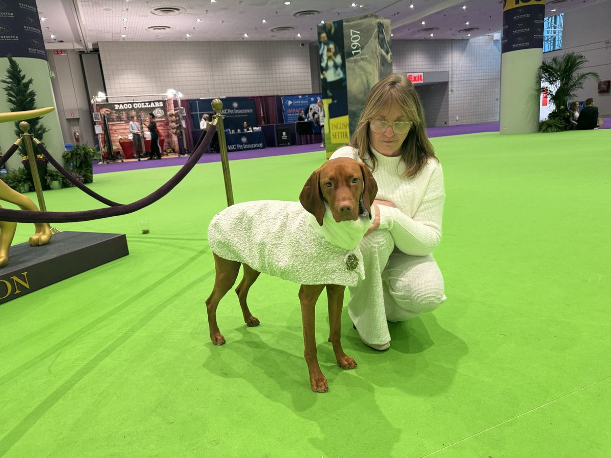 Manhattan Walking Dog Coat White Pearl