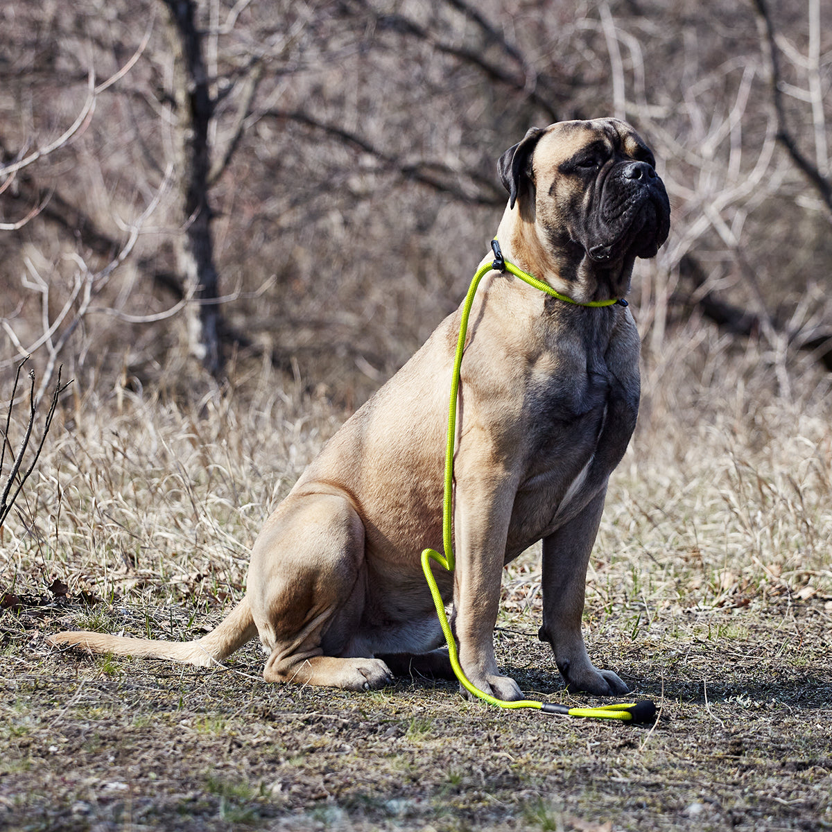 Dogline Round Nylon Slip Dog Lead
