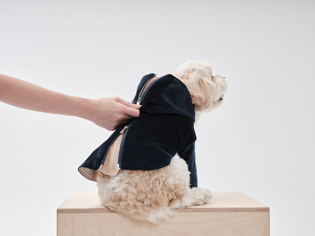 Huston Hoodie-Midnight Blue