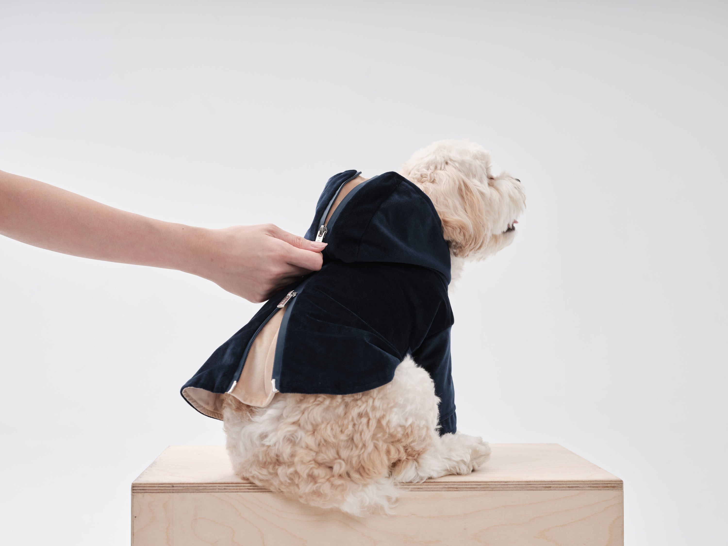 Huston Hoodie-Midnight Blue