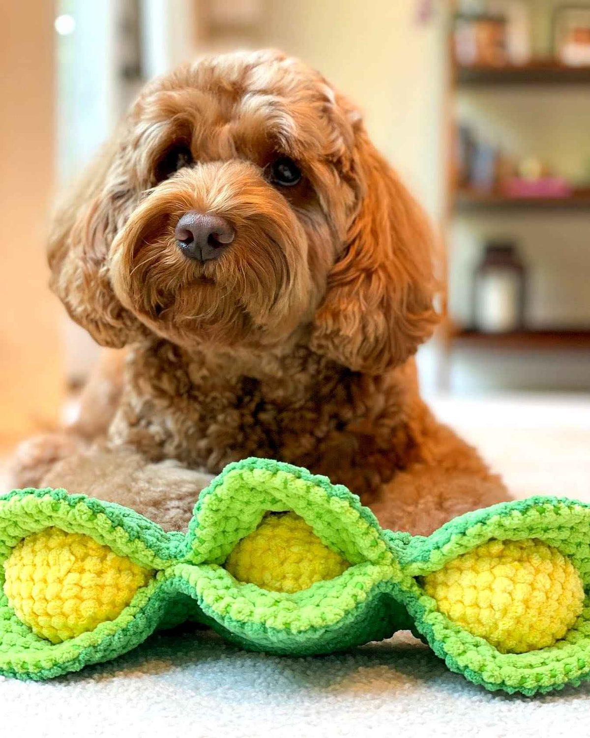 Pawty Pea Pod Interactive Plush Dog Toy