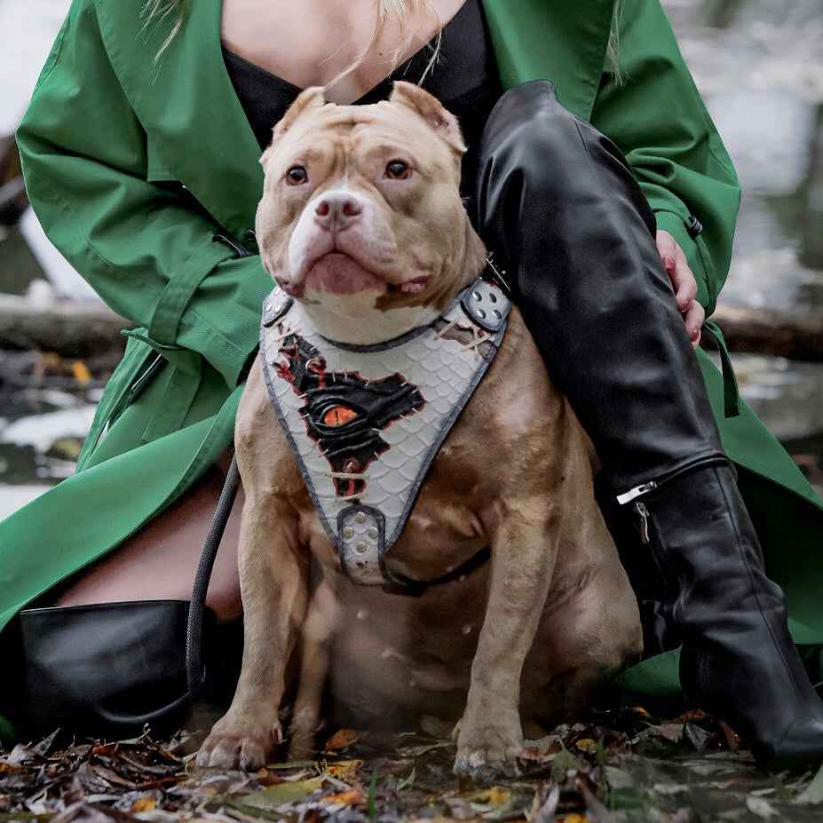 Bestia Dragons Eye Limited Edition Leather Dog Harness