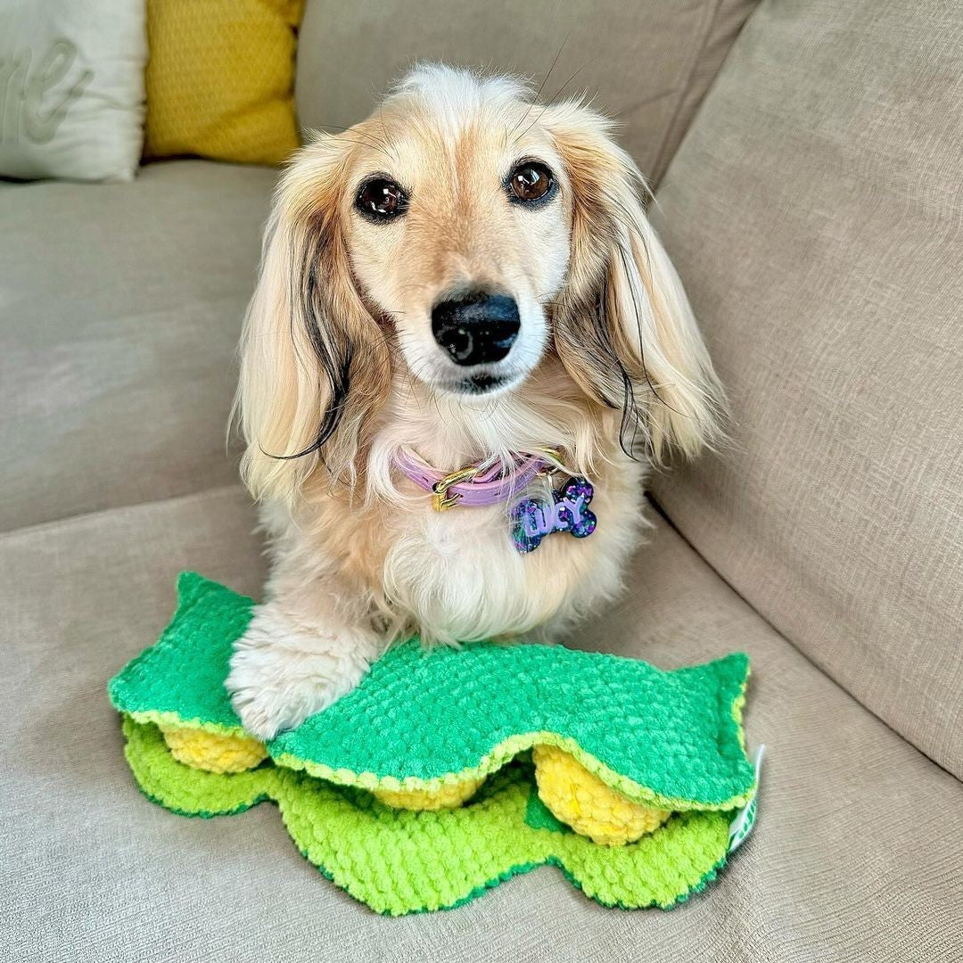 Pawty Pea Pod Interactive Plush Dog Toy
