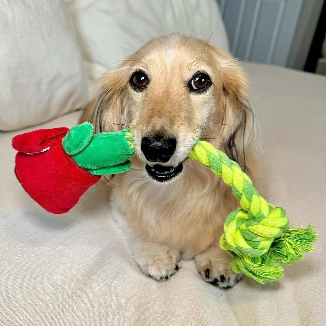 Pawty Rose Tug and Treat Snuffle Dog Toy