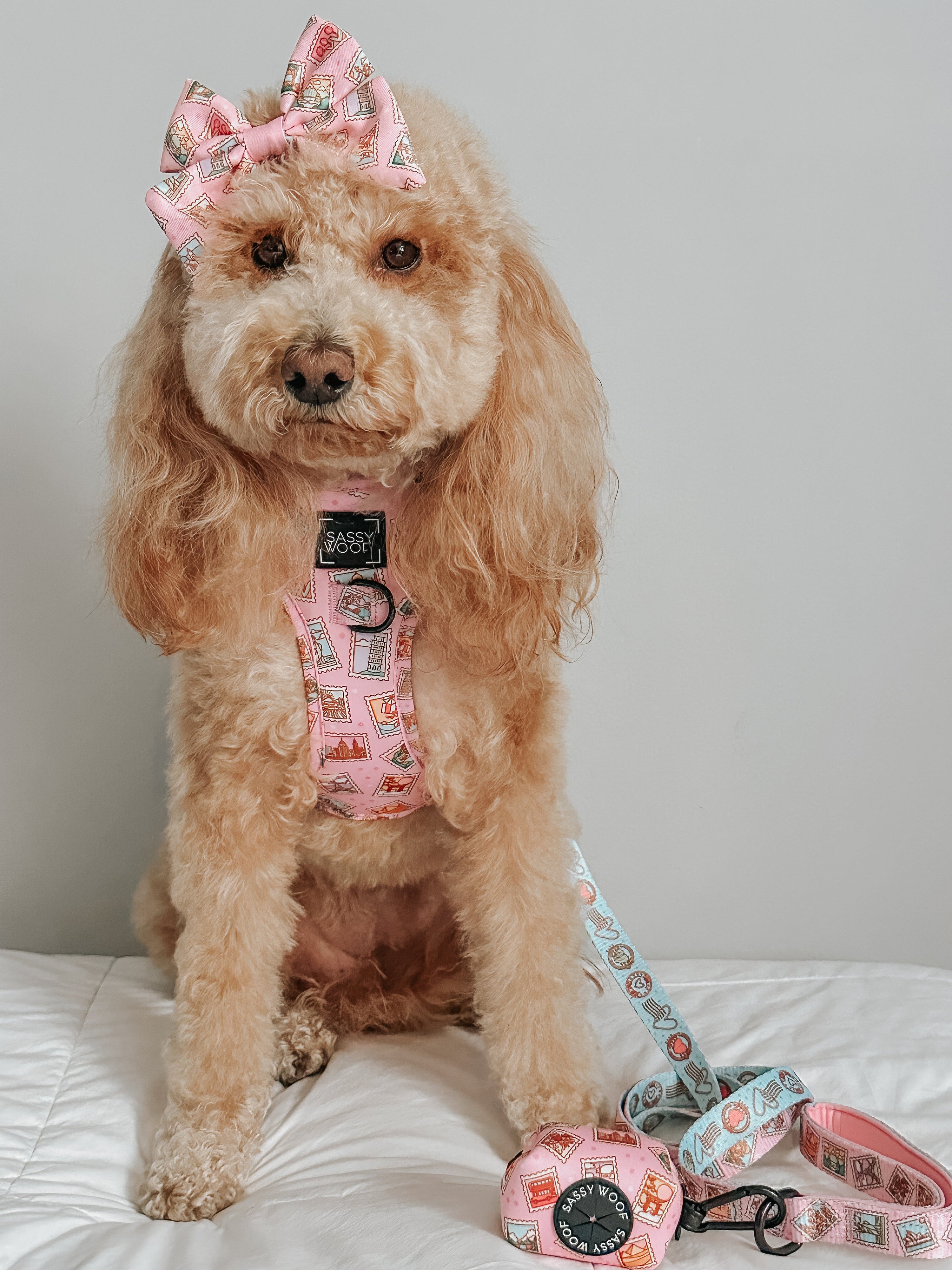 Dog Adjustable Harness - Out of Office