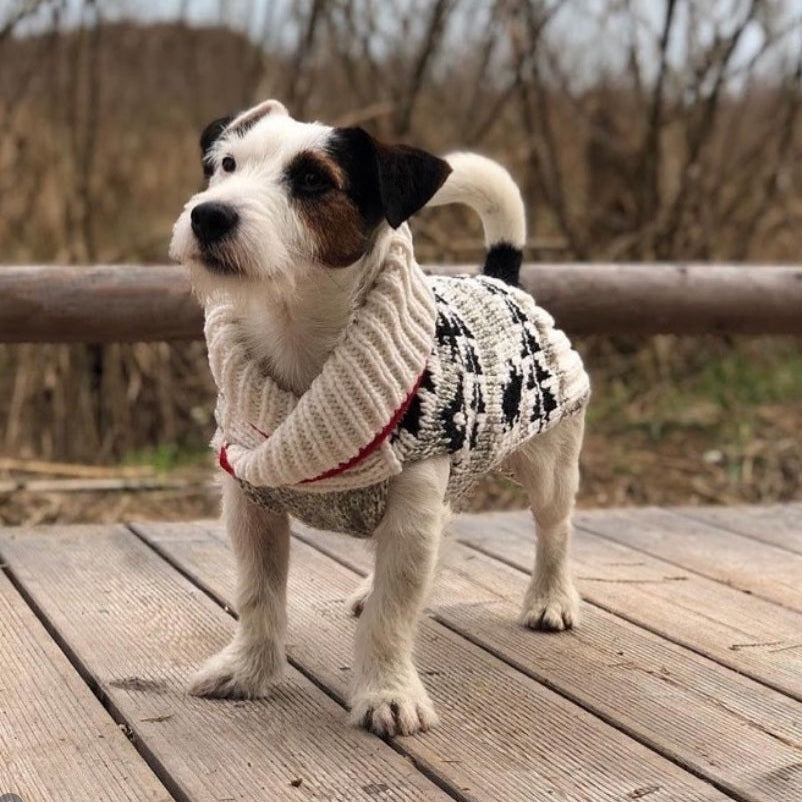 Chilly Dog Jackson Wool Dog Sweater