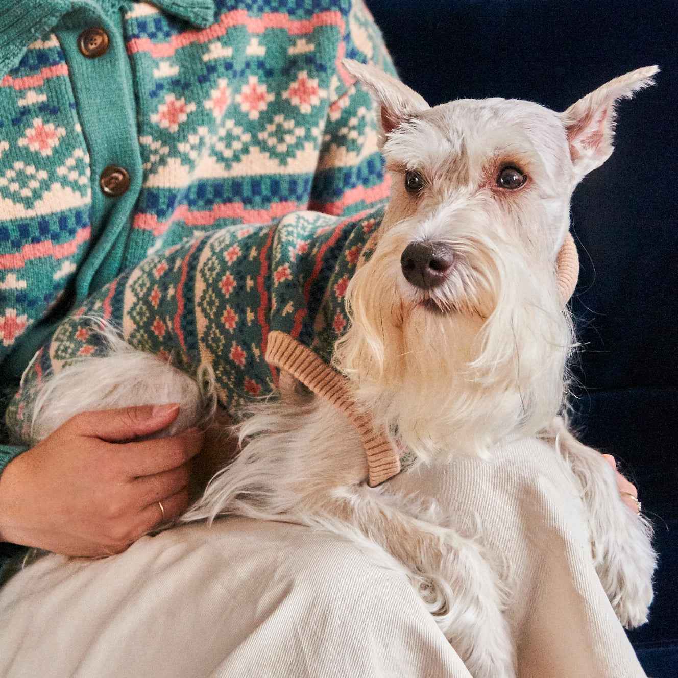 Nooee Pet Jacquard Wool Sweater