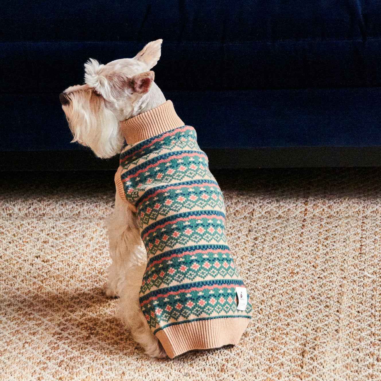 Nooee Pet Jacquard Wool Sweater