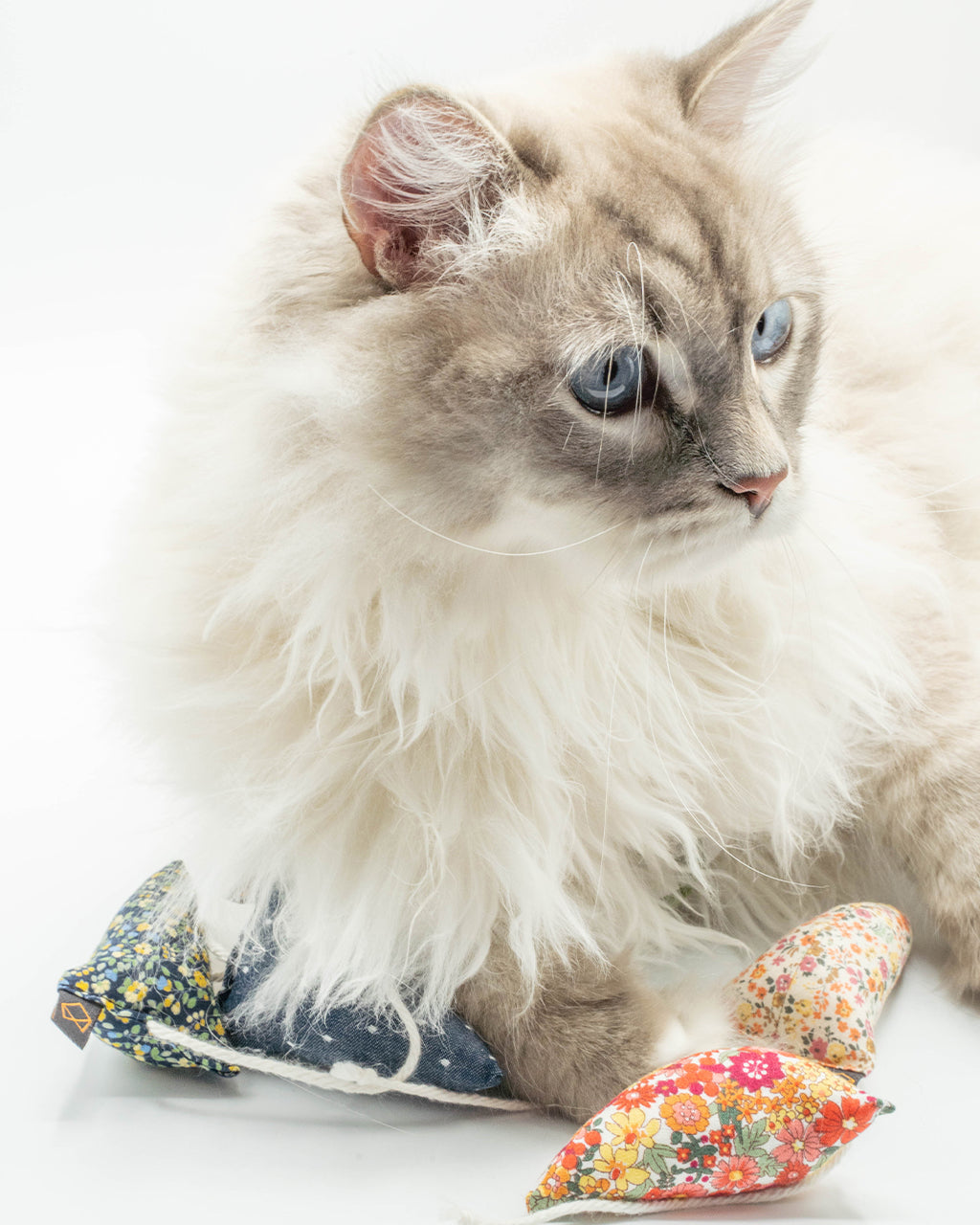 MODERN MOUSE - FLORAL - HT Animal Supply