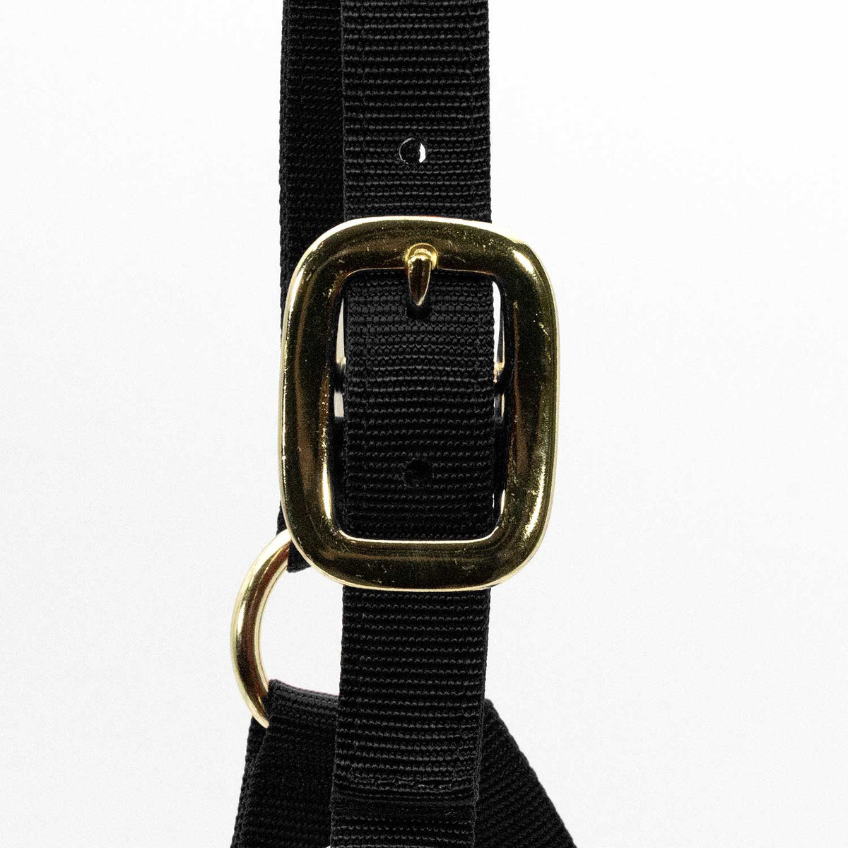 Jeffers Adjustable Halter with Throat Snap | HT Animal Supply