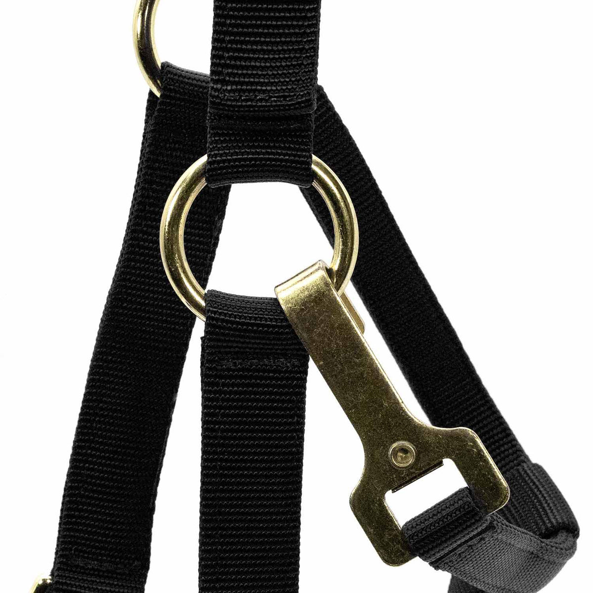 Jeffers Adjustable Halter with Throat Snap | HT Animal Supply