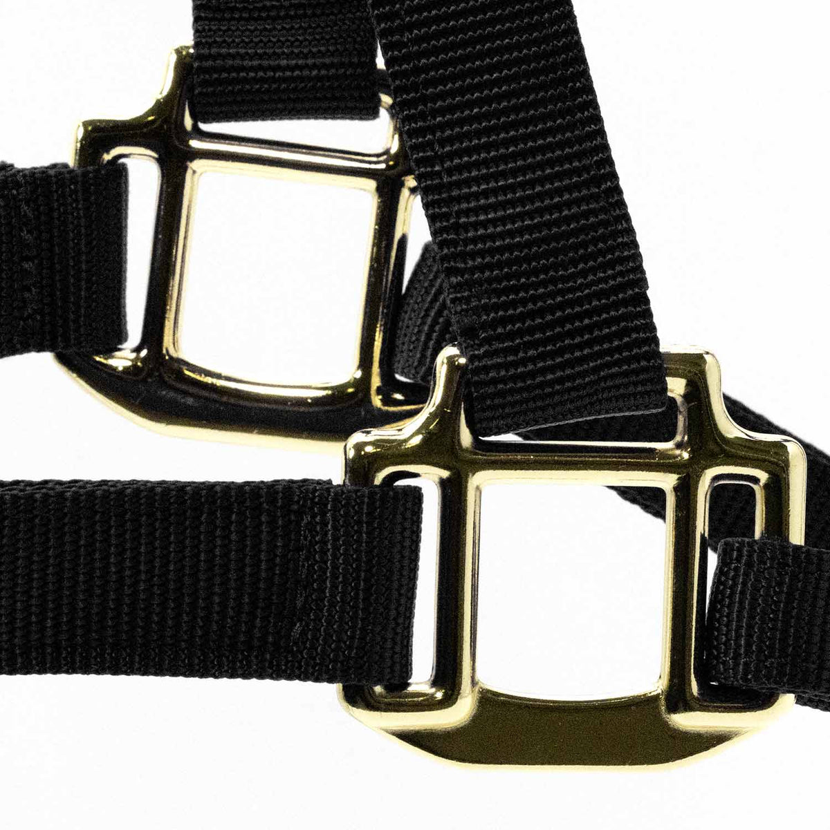 Jeffers Adjustable Halter with Throat Snap | HT Animal Supply