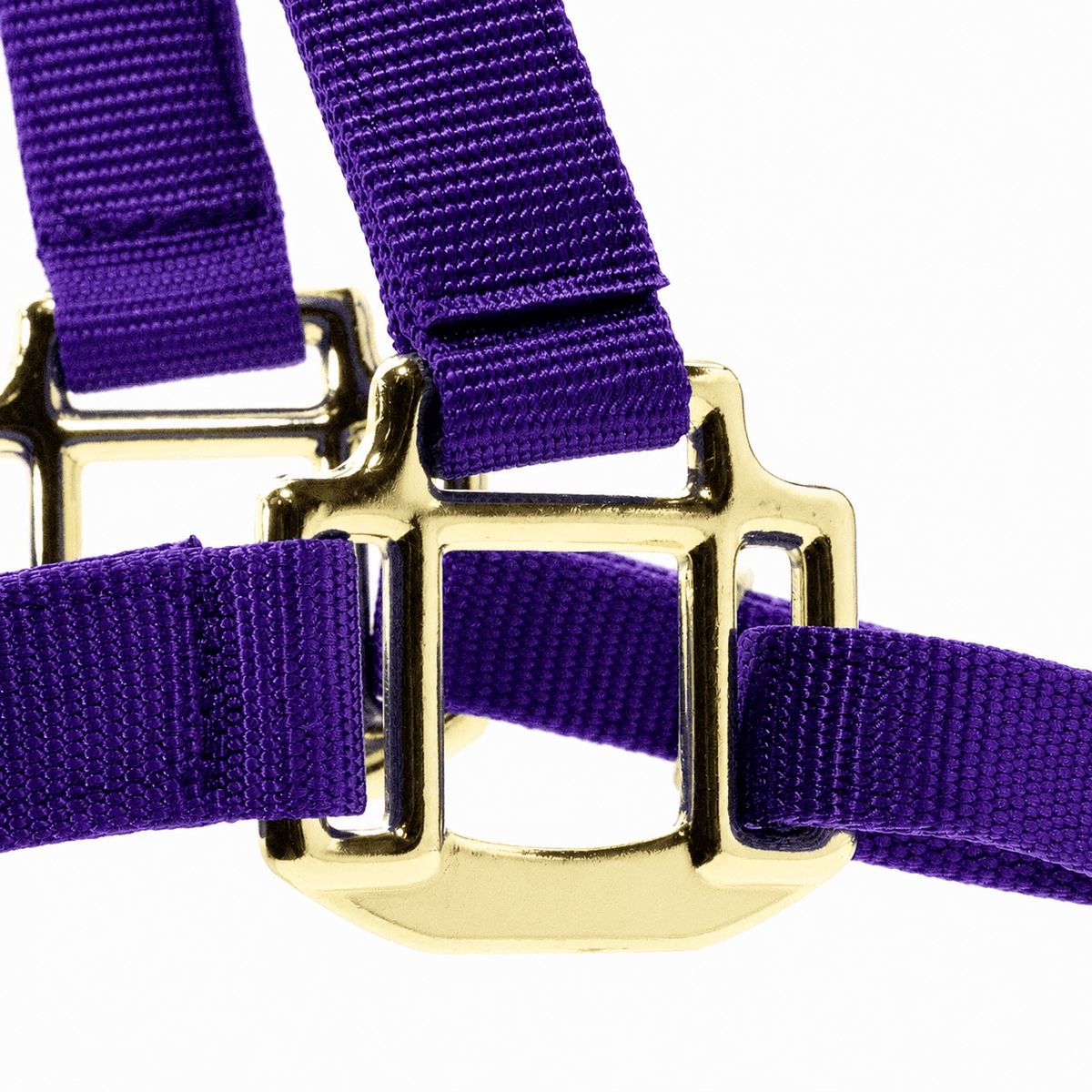 Jeffers Adjustable Halter with Throat Snap | HT Animal Supply