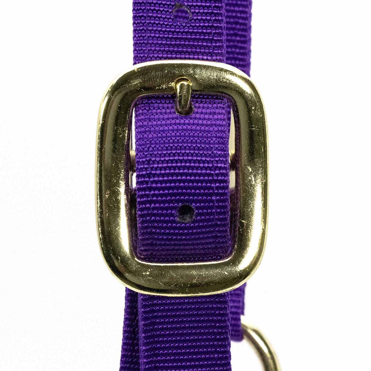 Jeffers Adjustable Halter with Throat Snap | HT Animal Supply