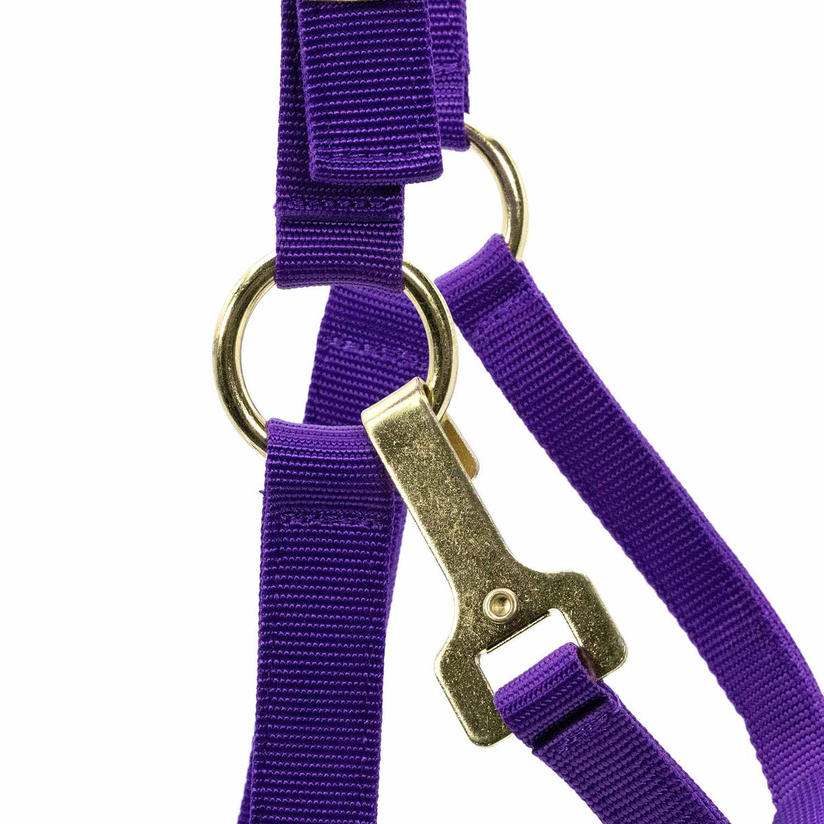 Jeffers Adjustable Halter with Throat Snap | HT Animal Supply