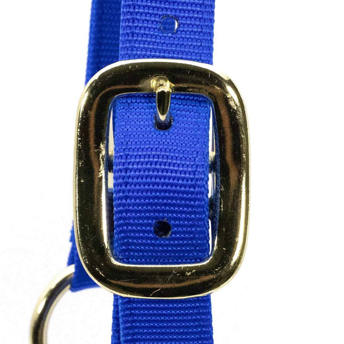 Jeffers Adjustable Halter with Throat Snap | HT Animal Supply