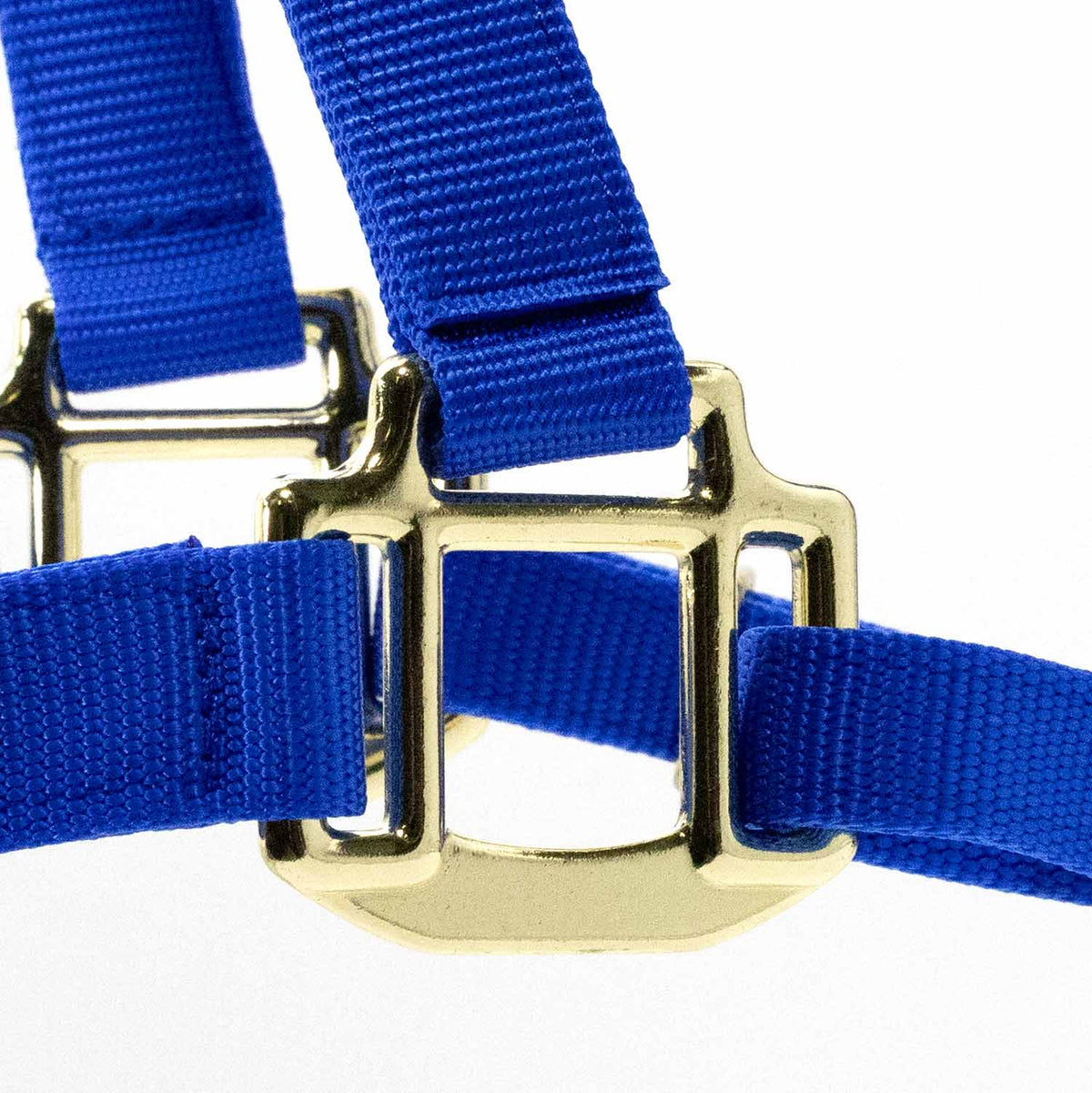 Jeffers Adjustable Halter with Throat Snap | HT Animal Supply