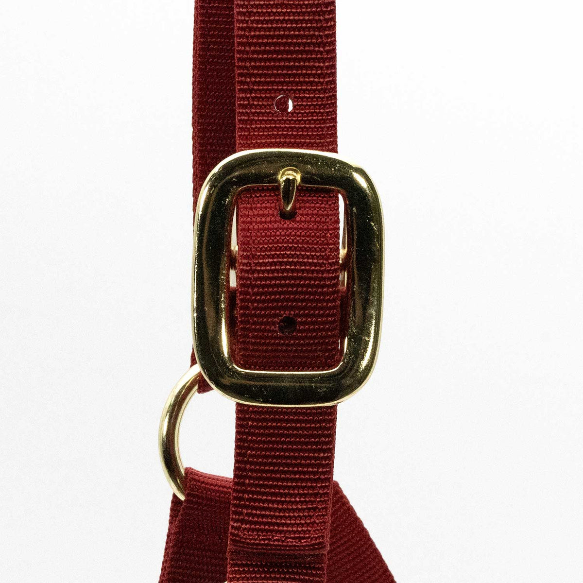 Jeffers Adjustable Halter with Throat Snap | HT Animal Supply