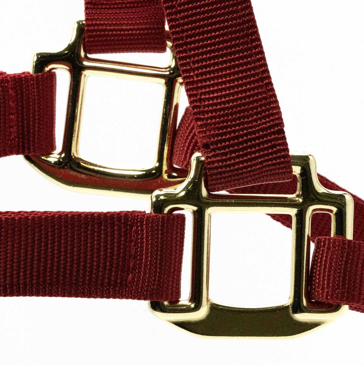 Jeffers Adjustable Halter with Throat Snap | HT Animal Supply