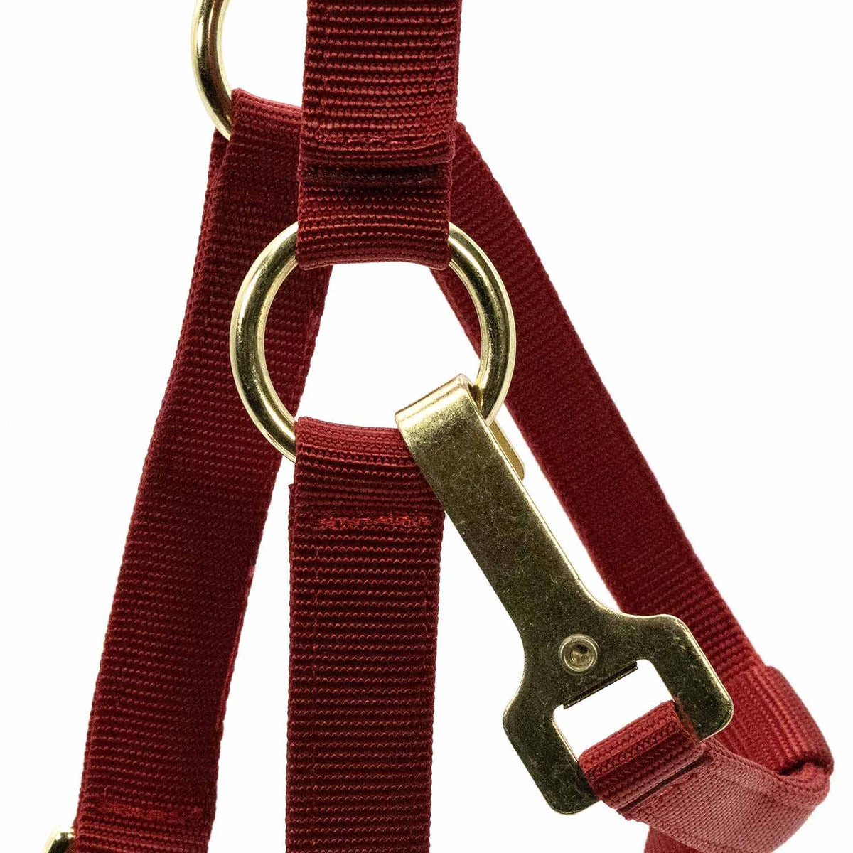 Jeffers Adjustable Halter with Throat Snap | HT Animal Supply