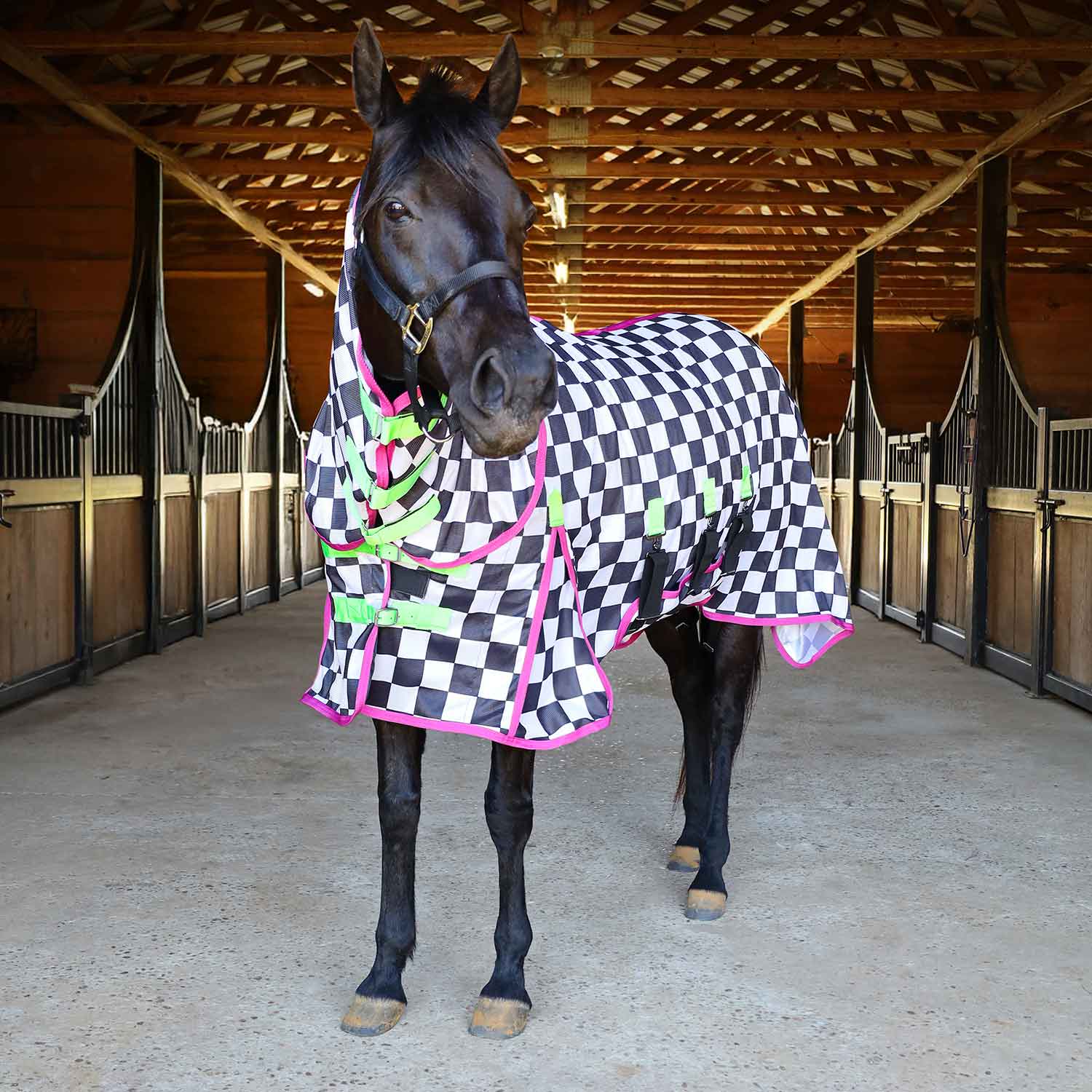 Jeffers Expression Softmesh Combo Neck Horse Fly Sheet
