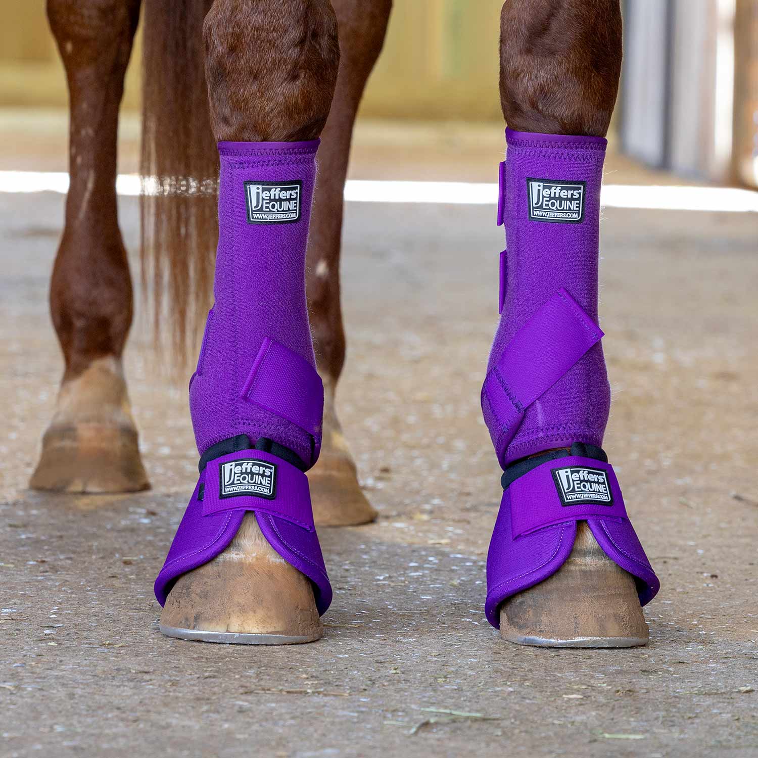 Jeffers Protective Horse Boots, Solid Colors