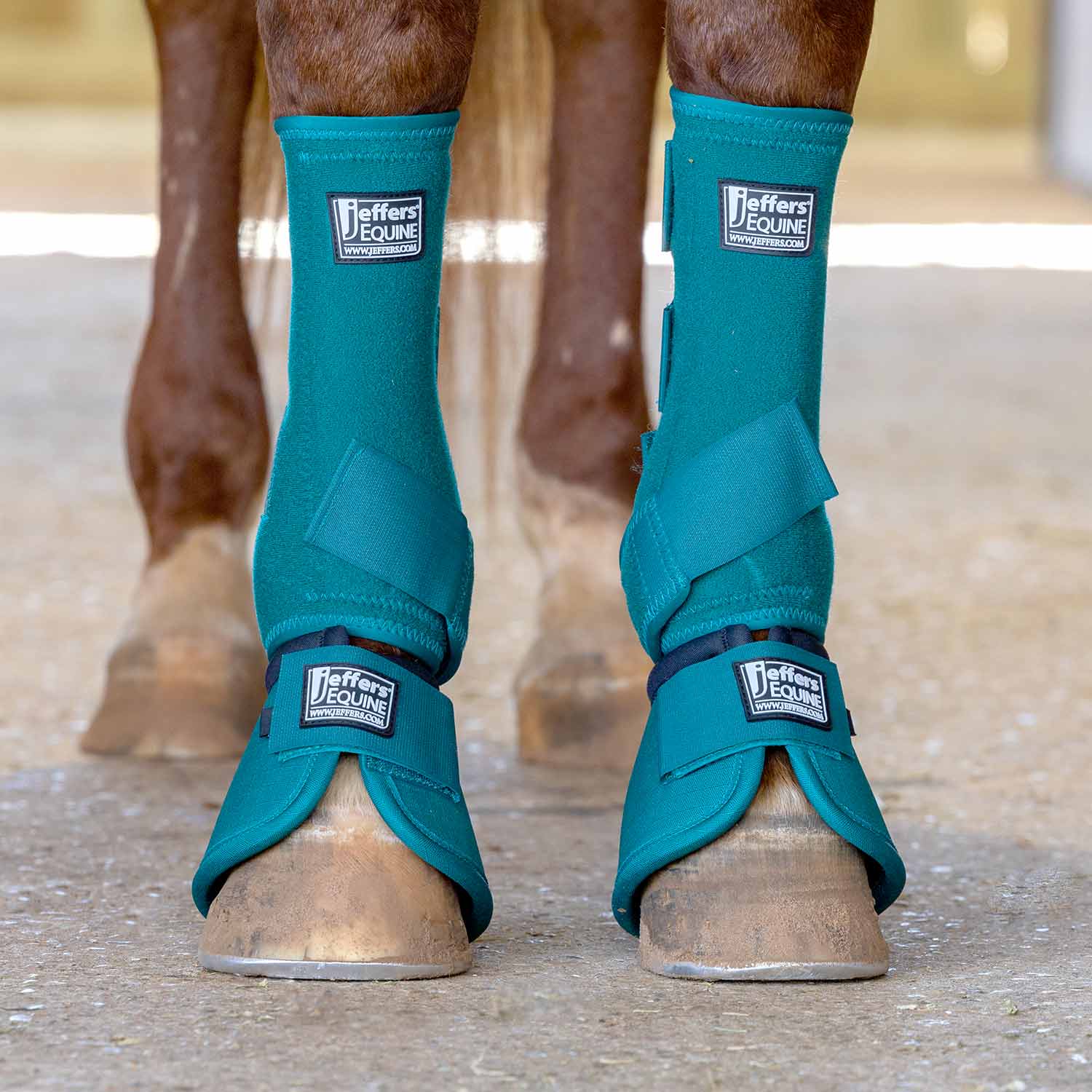 Jeffers Protective Horse Boots, Solid Colors