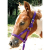 Jeffers Nylon "Grow With Me" Weanling Horse Halter, 3/4"W