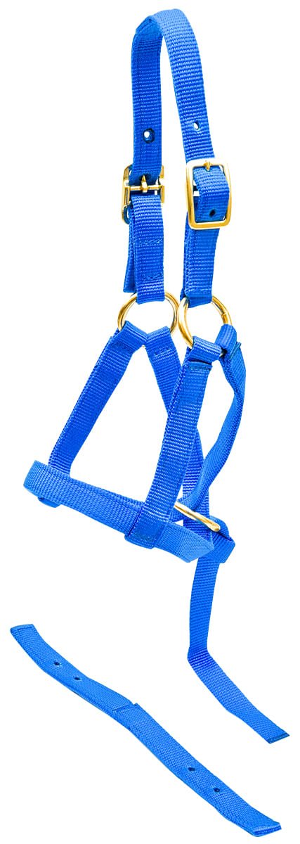 Jeffers Nylon "Grow With Me" Weanling Horse Halter, 3/4"W