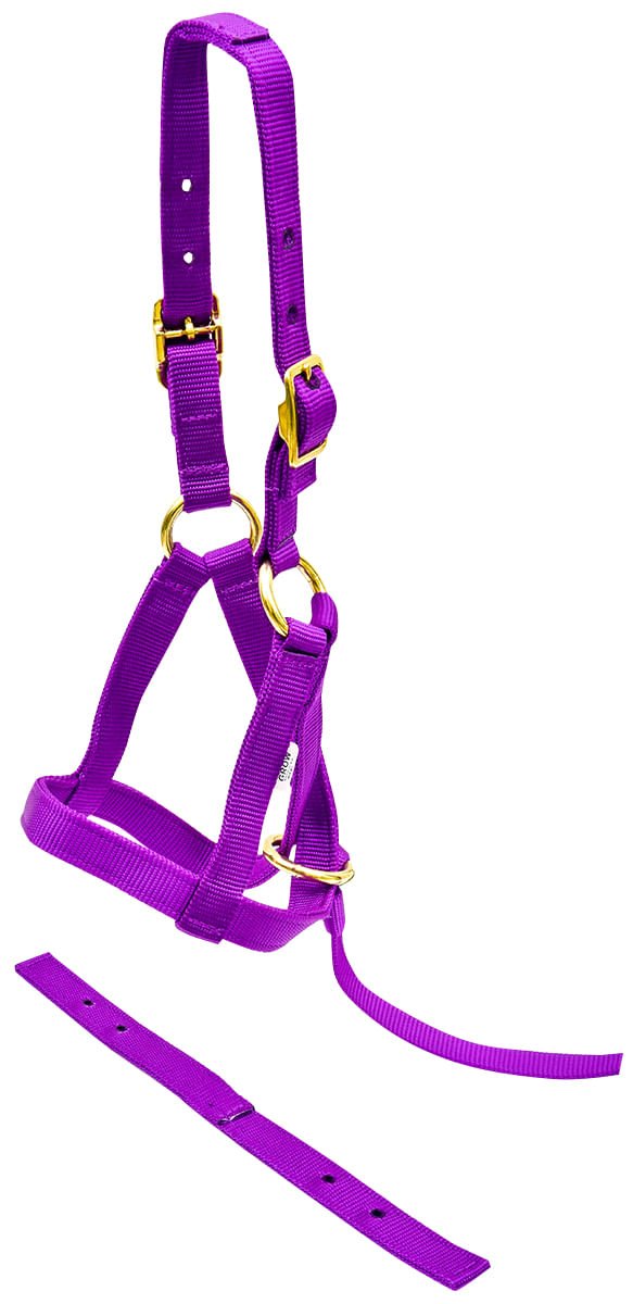 Jeffers Nylon "Grow With Me" Weanling Horse Halter, 3/4"W
