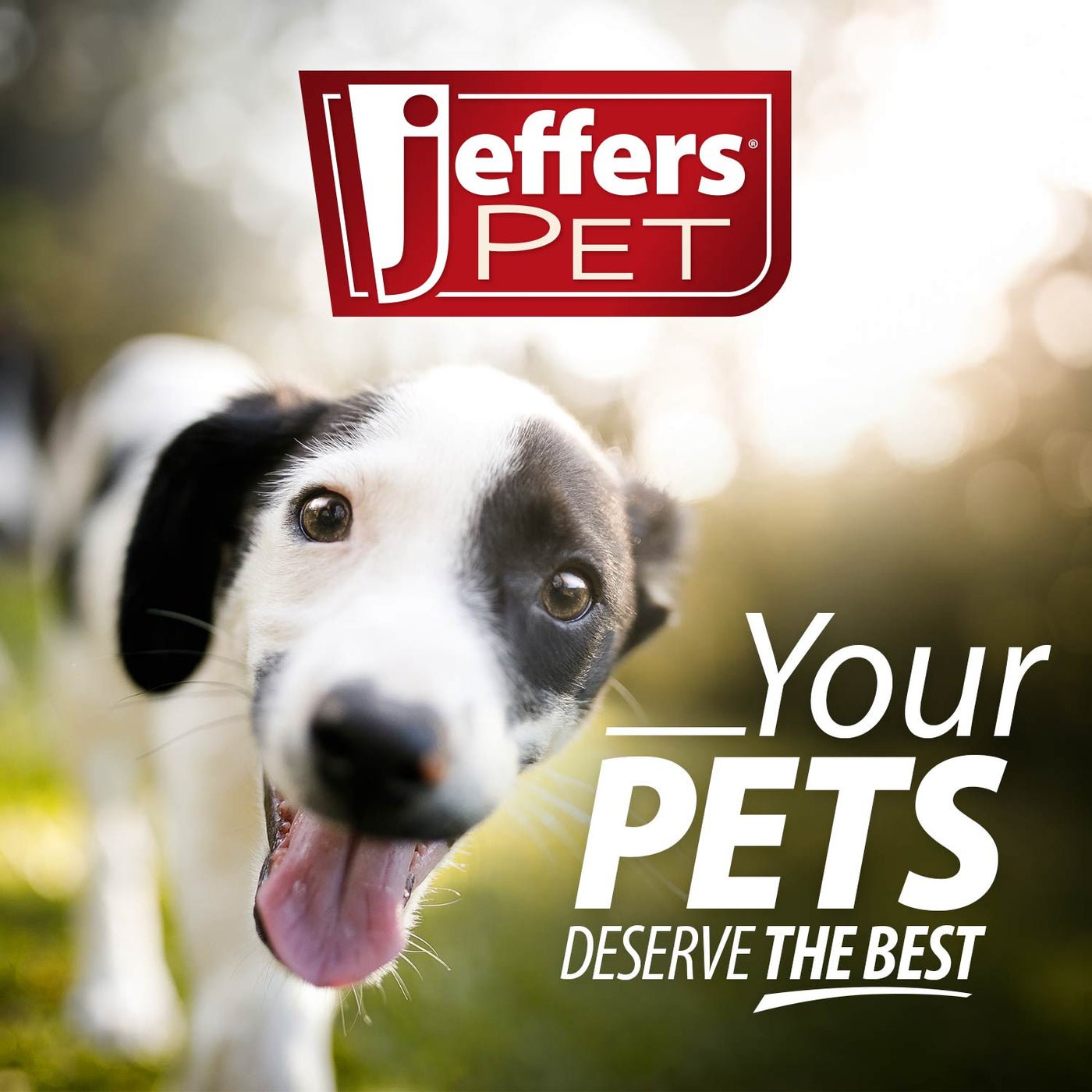 Jeffers Flat Leather Dog Leash with Hand Strap Handle, 6L