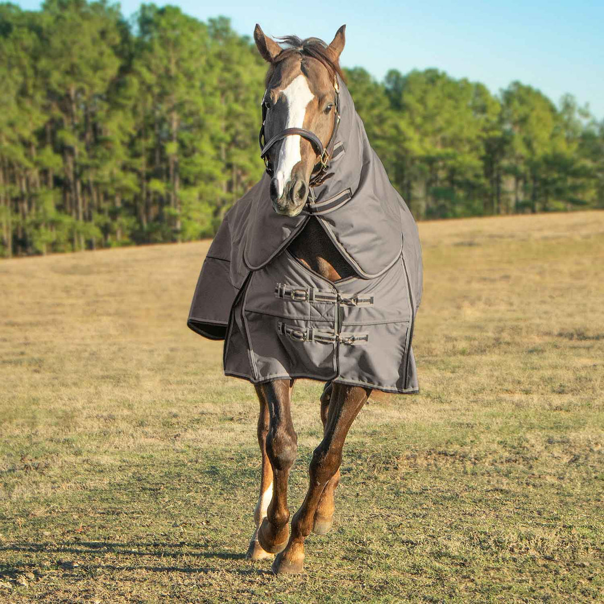 Jeffers Poplar Head – "Defense" 1680 Denier Turnout Blanket with Detachable Neck, 240 Gram, Plymouth Brown