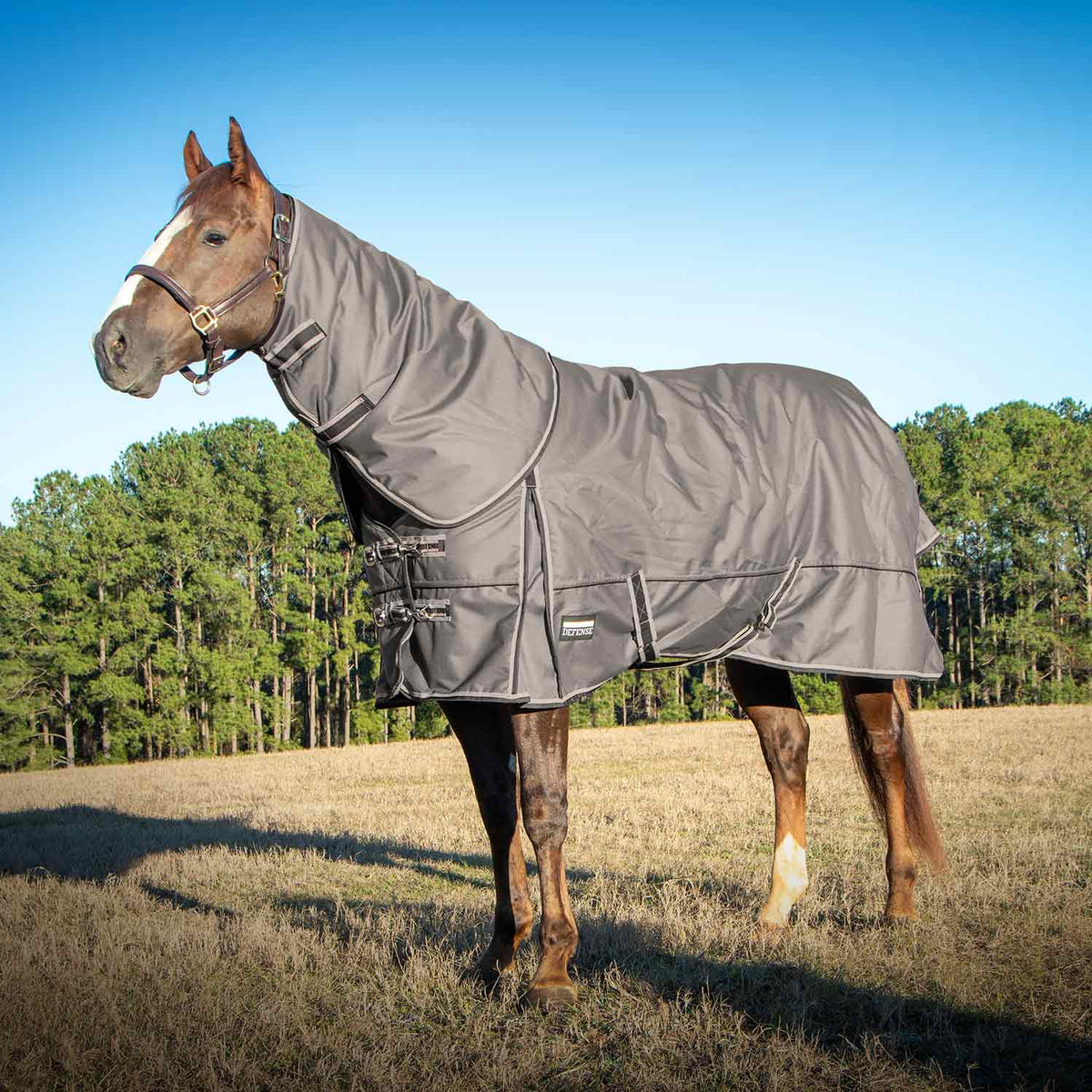 Jeffers Poplar Head – "Defense" 1680 Denier Turnout Blanket with Detachable Neck, 240 Gram, Plymouth Brown