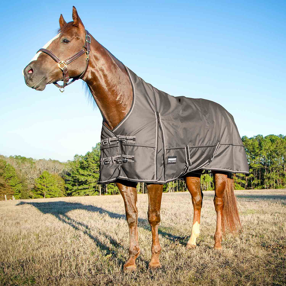 Jeffers Poplar Head – "Defense" 1680 Denier Turnout Blanket with High Neck, 240 Gram, Plymouth Brown