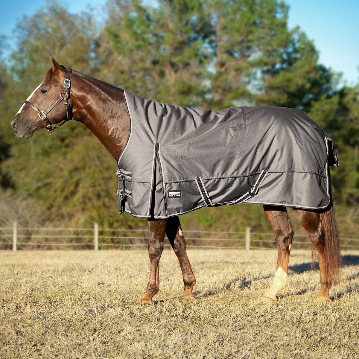 Jeffers Poplar Head – "Defense" 1680 Denier Turnout Blanket with High Neck, 240 Gram, Plymouth Brown