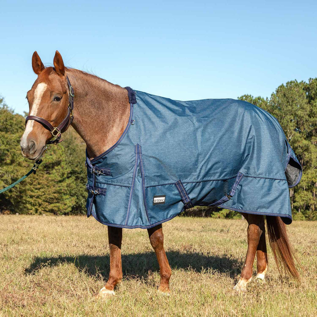 Jeffers Poplar Head – "Origin" 600D Medium Weight Turnout Blanket, 240g | Waterproof & Breathable Horse Blanket
