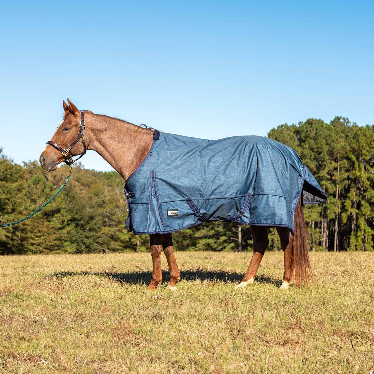 Jeffers Poplar Head – "Origin" 600D Medium Weight Turnout Blanket, 240g | Waterproof & Breathable Horse Blanket