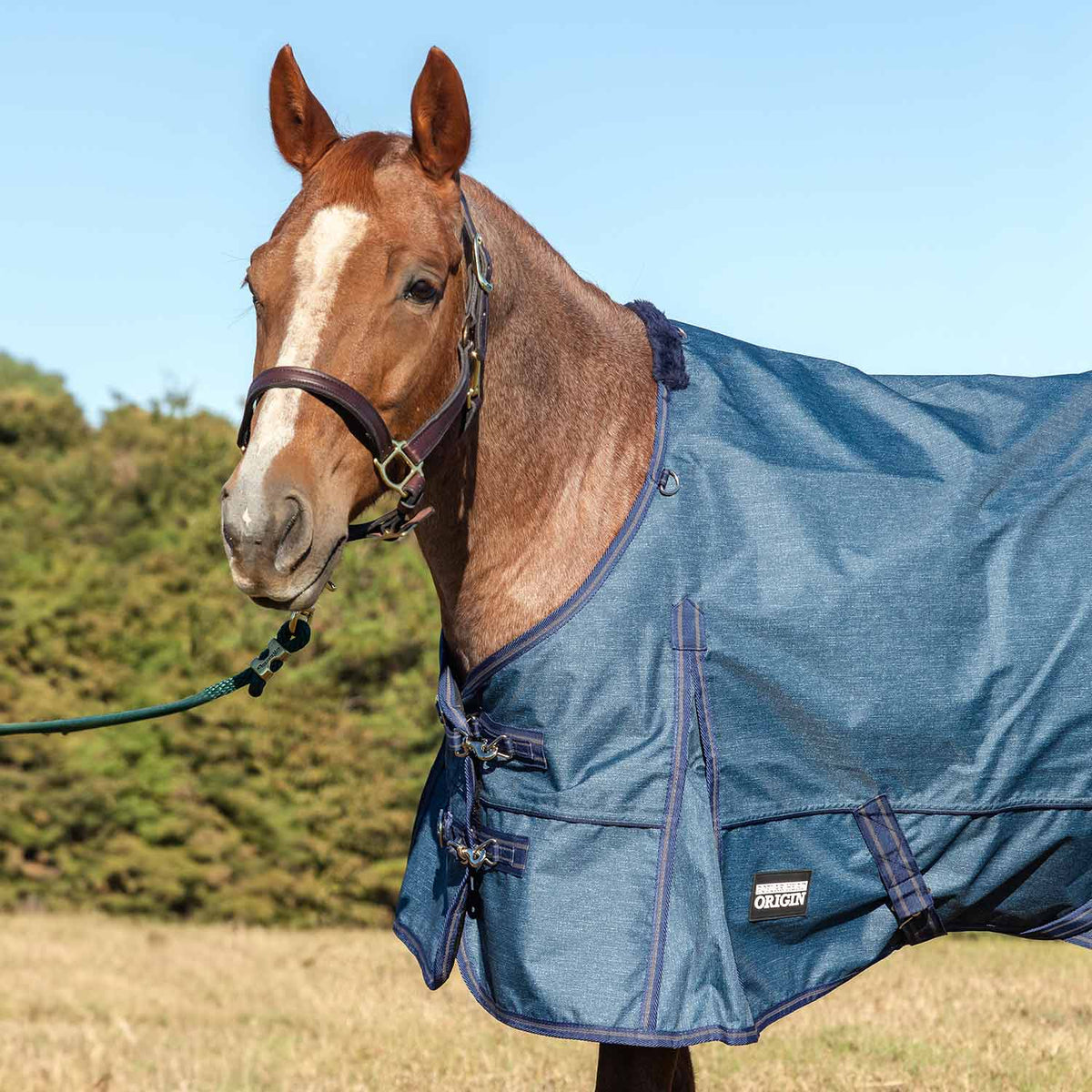 Jeffers Poplar Head – "Origin" 600D Medium Weight Turnout Blanket, 240g | Waterproof & Breathable Horse Blanket