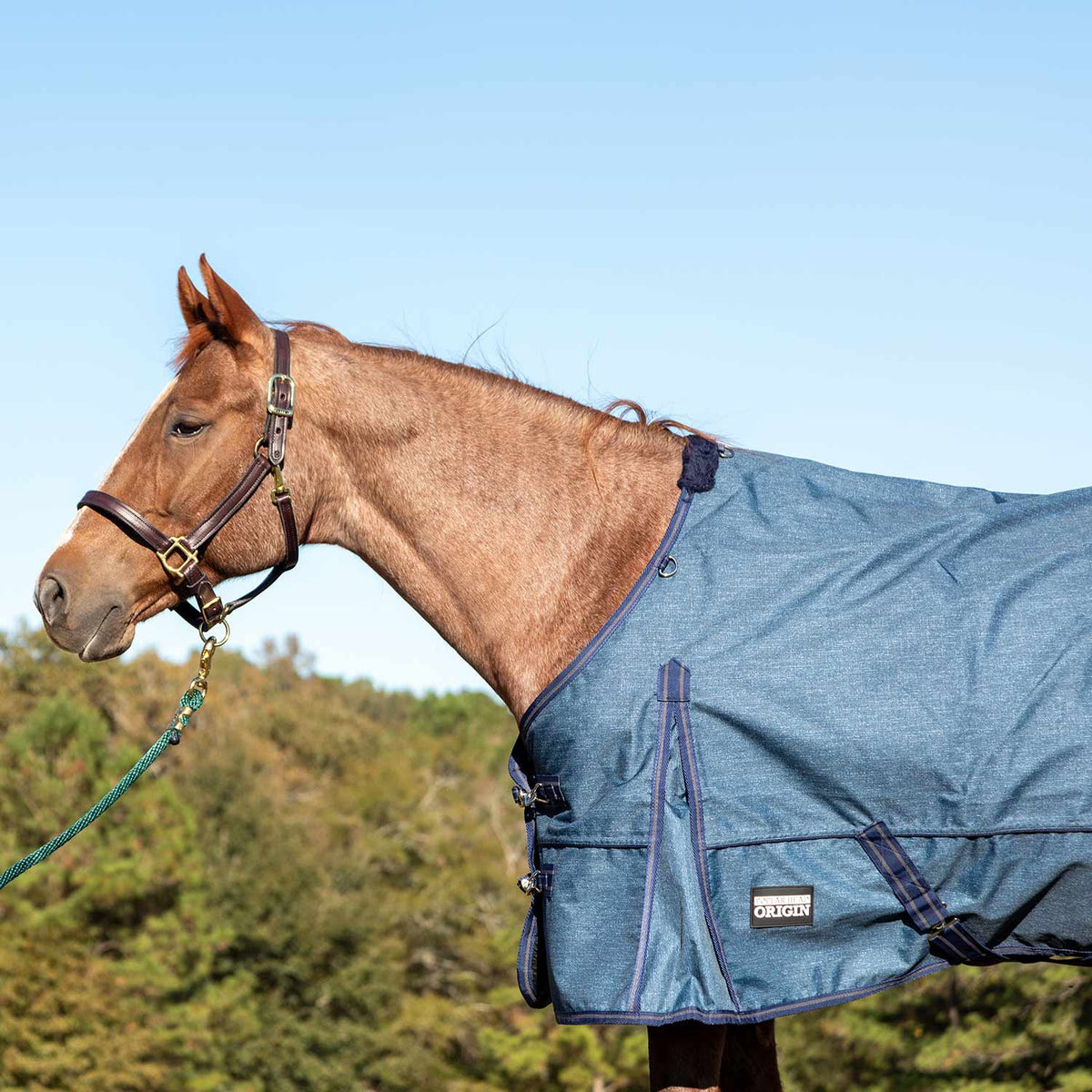 Jeffers Poplar Head – "Origin" 600D Medium Weight Turnout Blanket, 240g | Waterproof & Breathable Horse Blanket