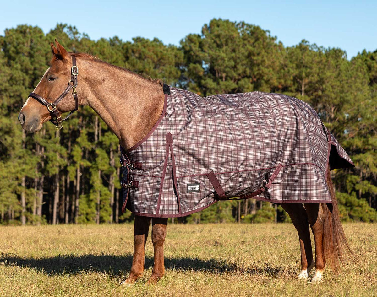 Jeffers Poplar Head – "Origin" 600D Medium Weight Turnout Blanket, 240g | Waterproof & Breathable Horse Blanket